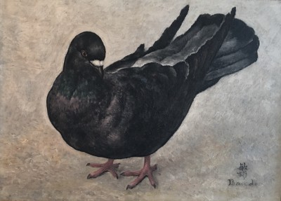pigeon-Toshio Bando