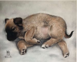 chiot couché-Toshio Bando