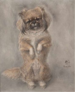 Chien Pékinois - Toshio Bando